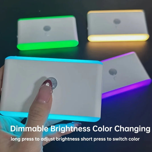 Rechargeable LED Motion Sensor Light